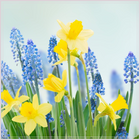 Kép 2/2 - Spring Parfümolaj Madebyzen