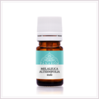 Melaleuca Alternifolia - Teafaolaj 10 ml Panarom 